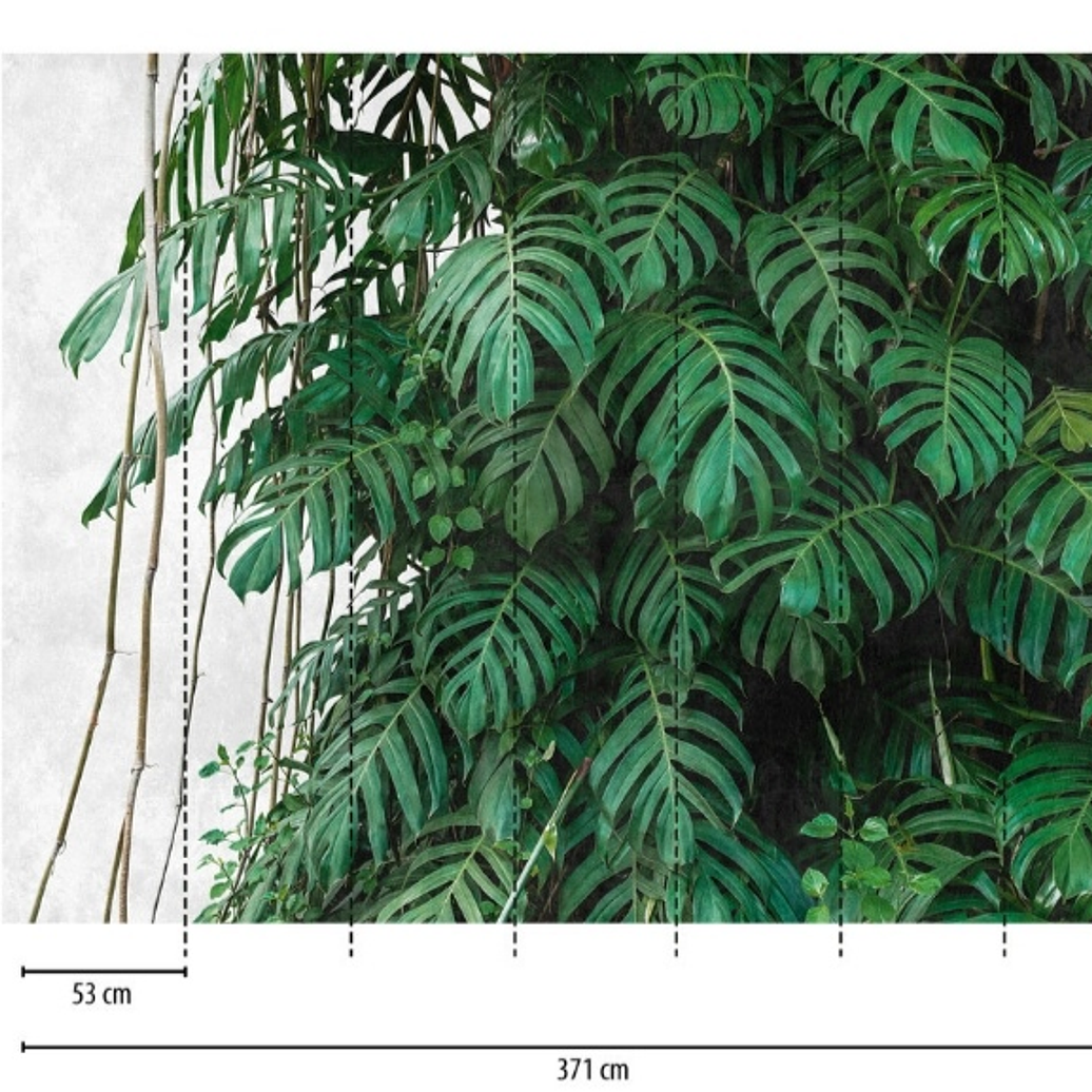 BOTANIC & JUNGLE - 382411 - THE WALL - A.C 3