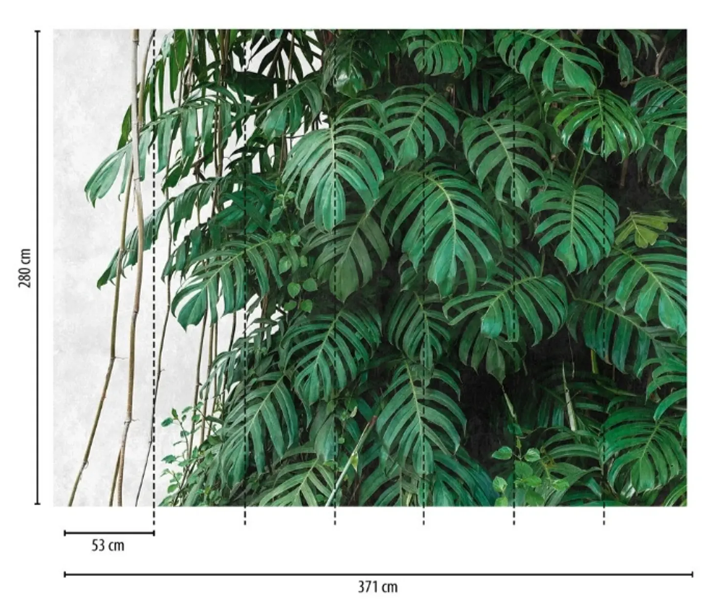 BOTANIC & JUNGLE - 382411 - THE WALL - A.C 3