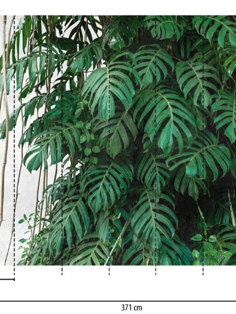 BOTANIC & JUNGLE - 382411 - THE WALL - A.C 3