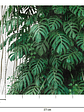 BOTANIC & JUNGLE - 382411 - THE WALL - A.C - Miniatura 3