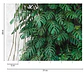 BOTANIC & JUNGLE - 382411 - THE WALL - A.C - thumbnail 3