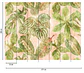 BOTANIC & JUNGLE - 382421 - THE WALL - A.C - thumbnail 2