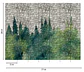 BOTANIC & JUNGLE - 382451 - THE WALL - A.C - thumbnail 2