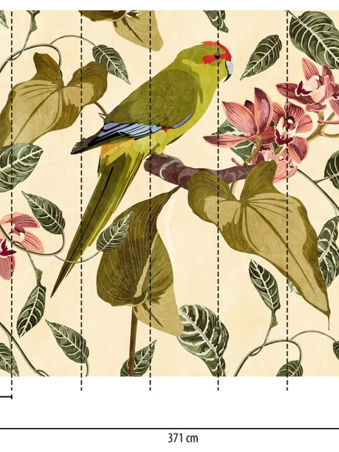 BOTANIC & JUNGLE - 382441 - THE WALL - A.C 2