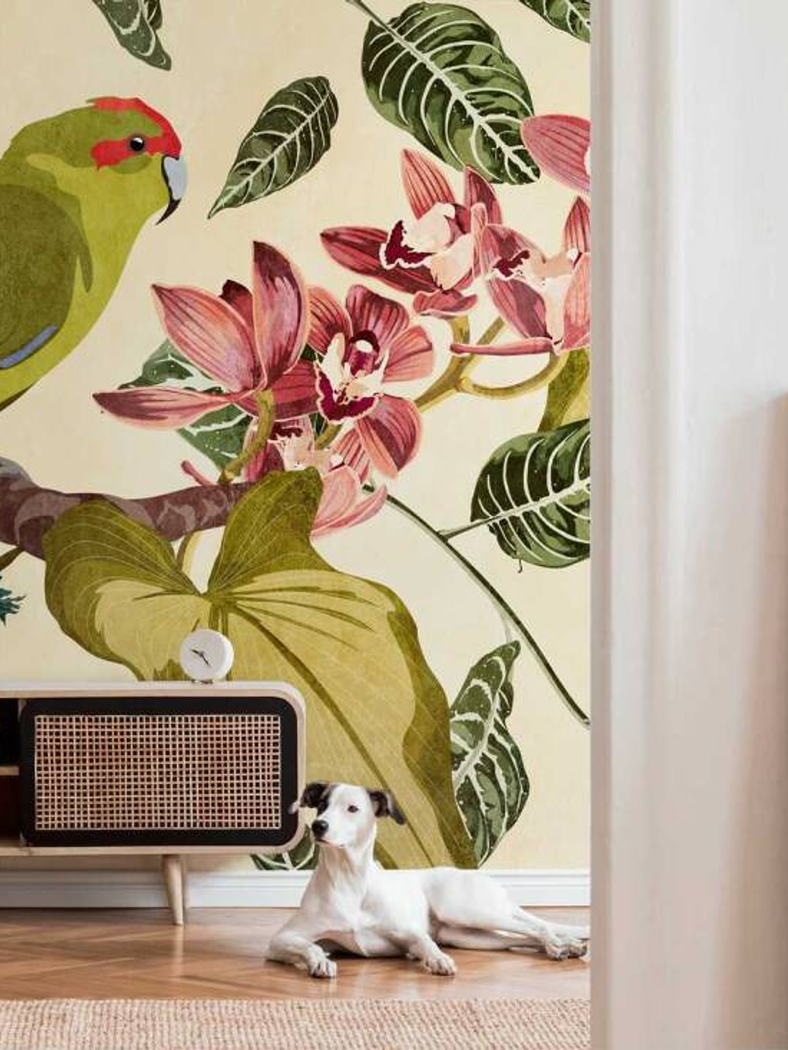 BOTANIC & JUNGLE - 382441 - THE WALL - A.C 1