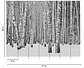 EYE CATCHER - 382591 - THE WALL - A.C - thumbnail 2
