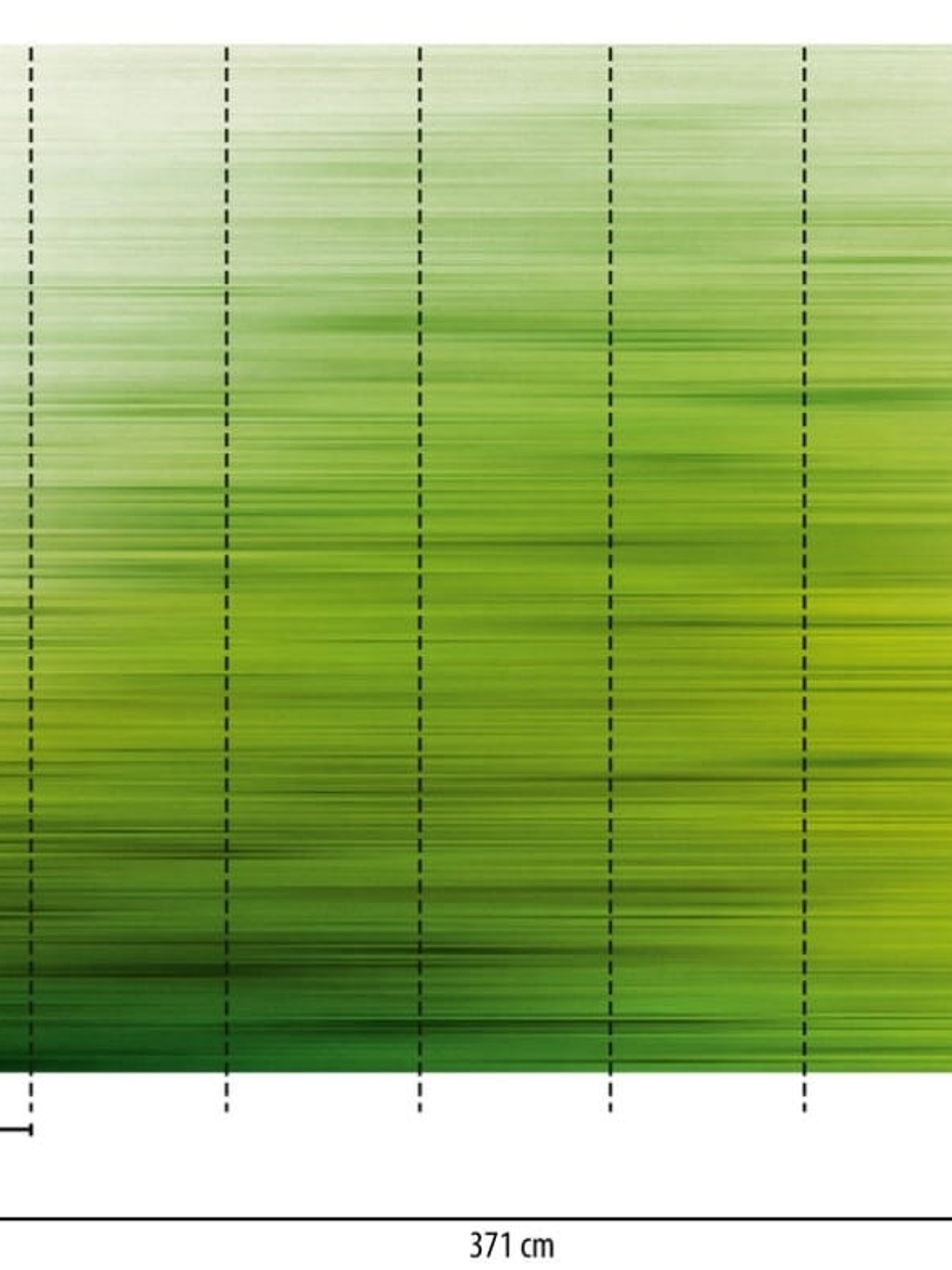 EYE CATCHER - 382611- THE WALL - A.C 2