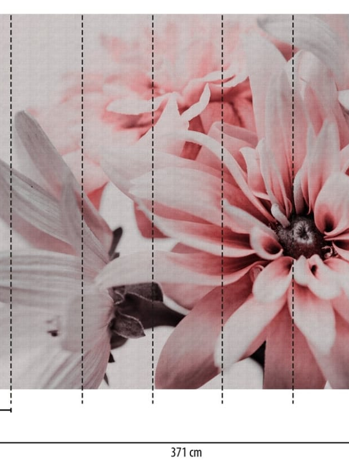 FLOWERS - 382701- THE WALL - A.C 2