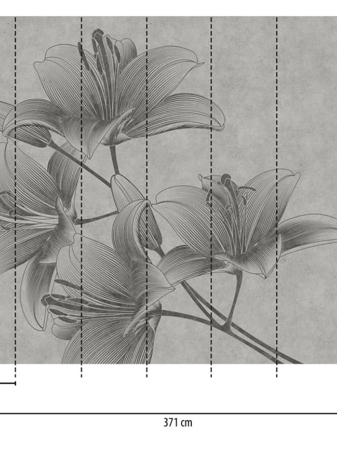 FLOWERS - 382781- THE WALL - A.C 2