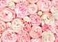 ROSES  - Miniatura 1