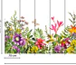 MOTLEY FLOWERS - thumbnail 3