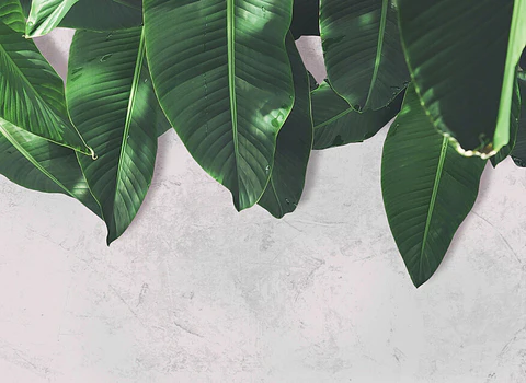 LEAVES WALL 2