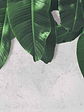 LEAVES WALL 2 - Miniatura 1
