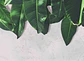 LEAVES WALL 2 - Miniatura 1