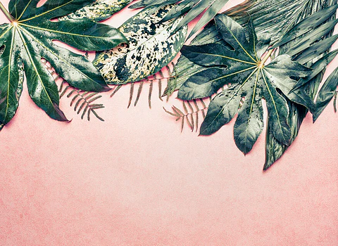 LEAVES VARIETY 1