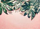 LEAVES VARIETY 1 - Miniatura 1