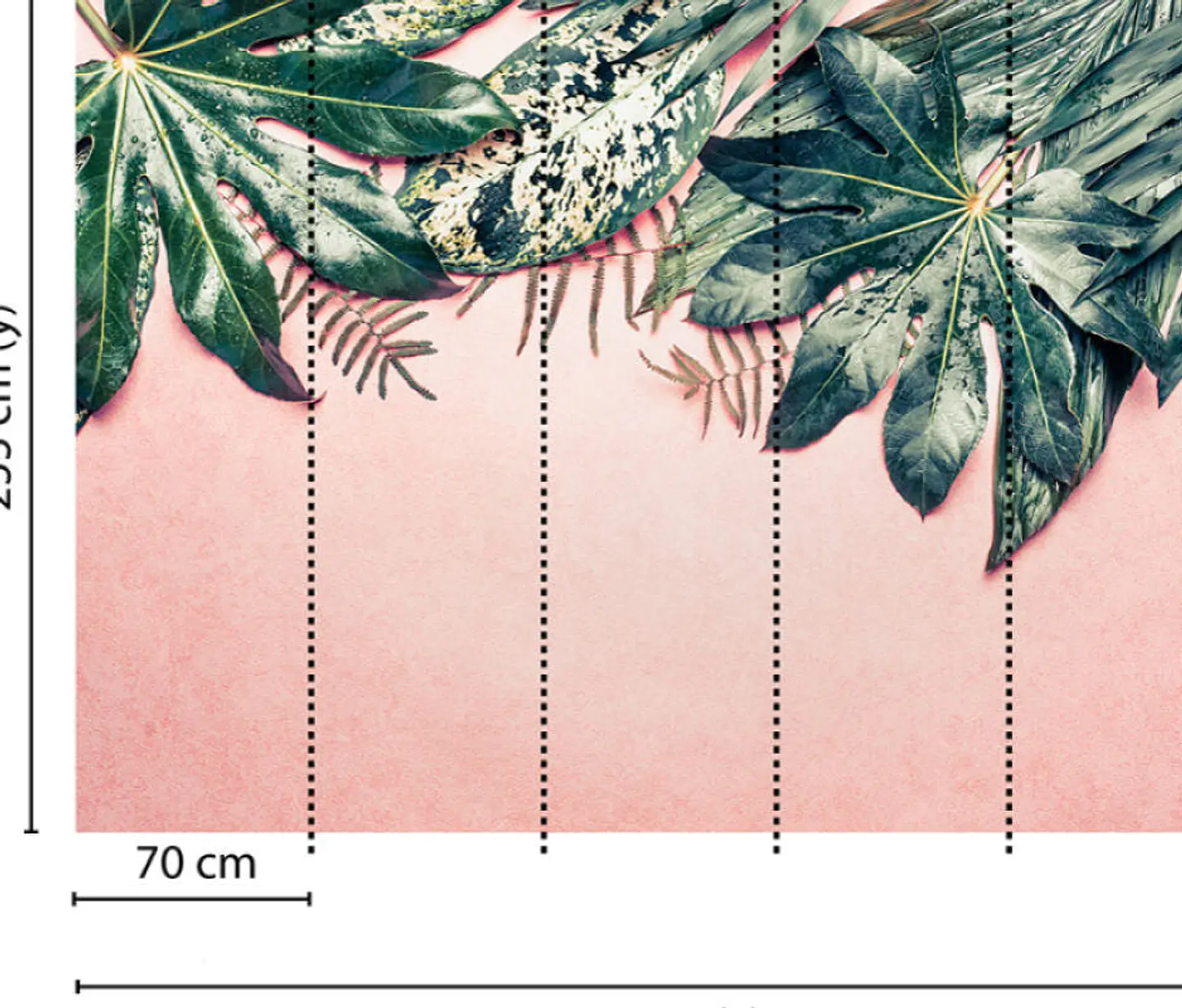LEAVES VARIETY 1 2