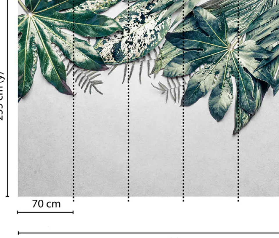 LEAVES VARIETY 2 3