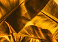 BROKEN LEAF 2 - Miniatura 1