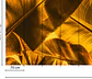 BROKEN LEAF 2 - Miniatura 3