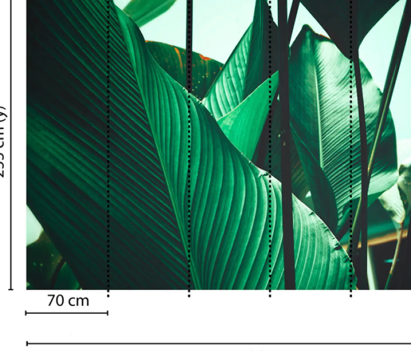 LEAF STALKS 1 3