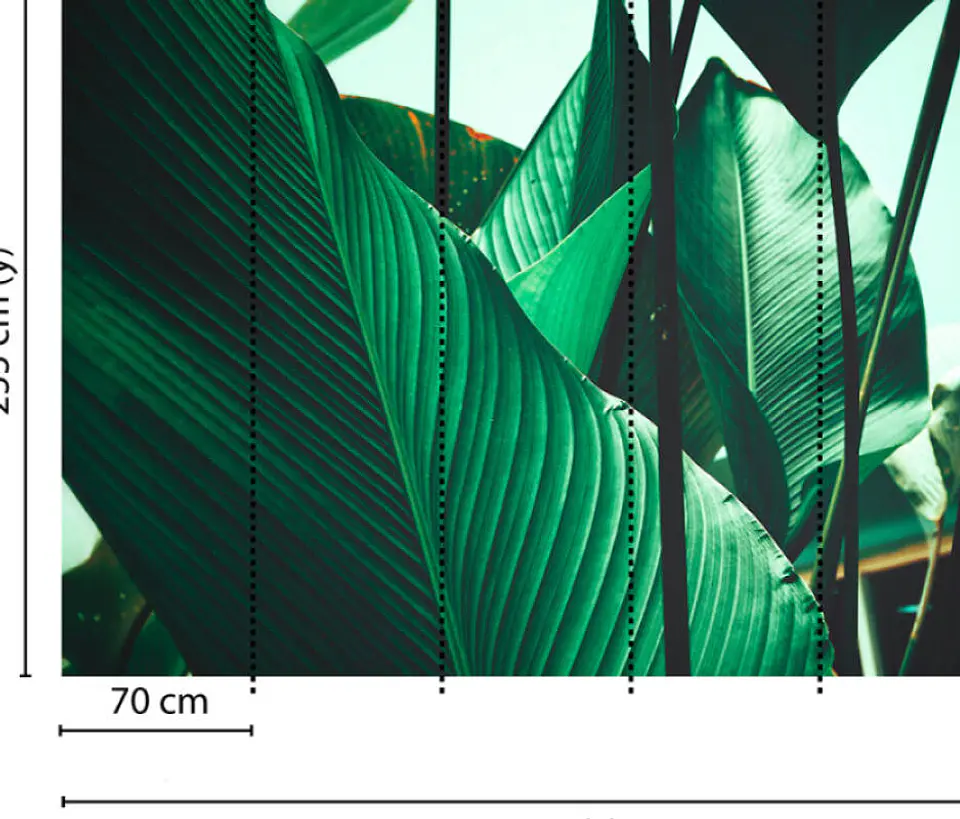 LEAF STALKS 1 3