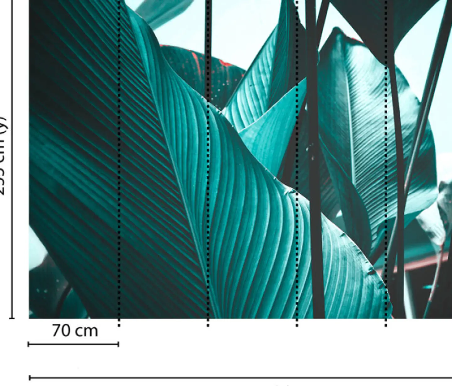 LEAF STALKS 2 3