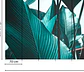 LEAF STALKS 2 - Miniatura 3