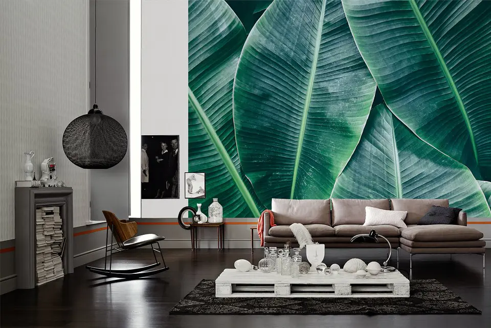 BANANA LEAVES 1  2