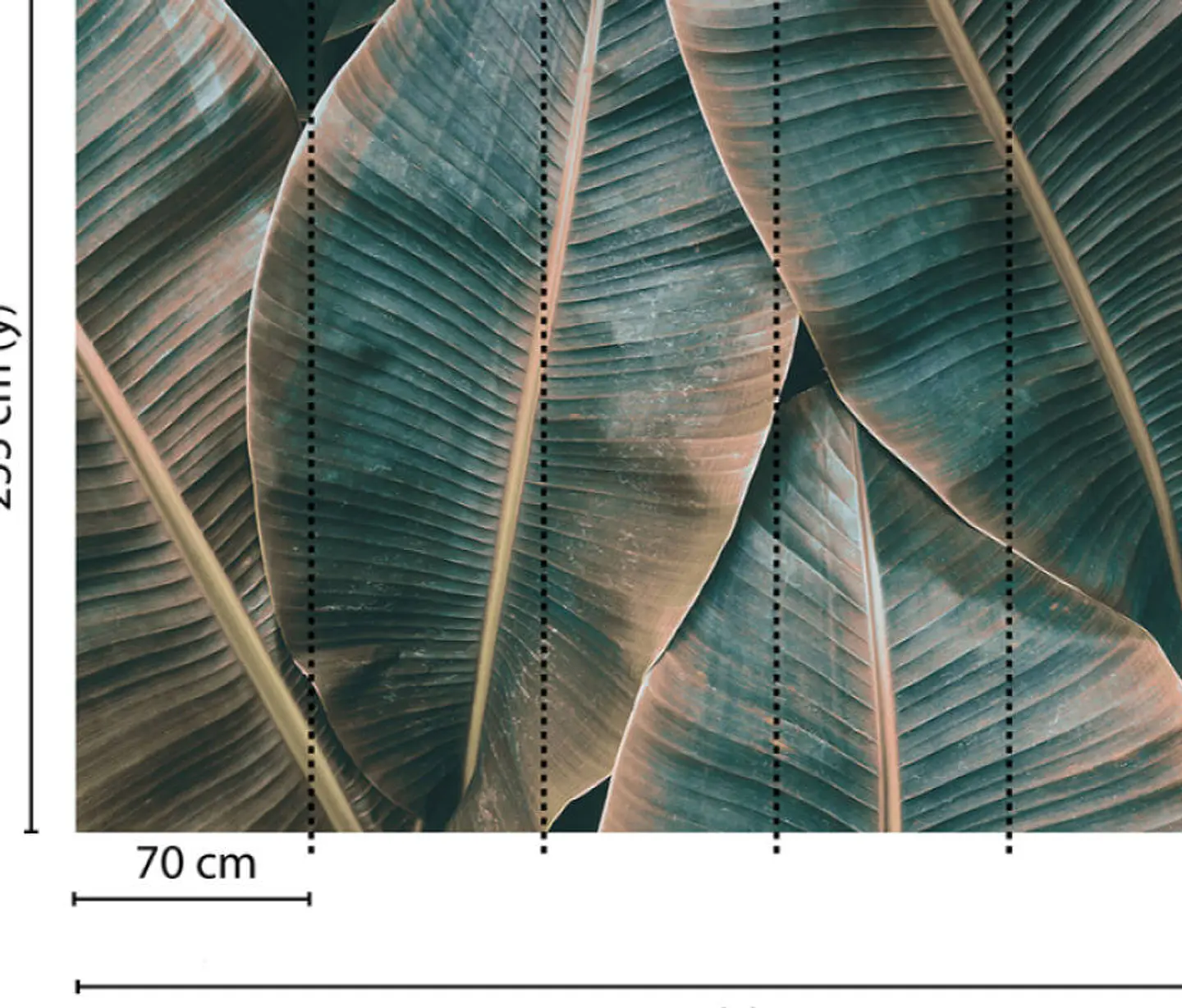 BANANA LEAVES 2 2