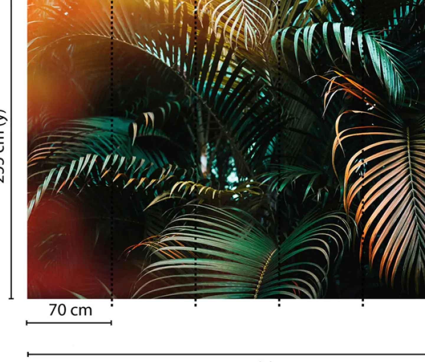JUNGLE COLOUR  3