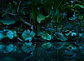 TROPICAL - Miniatura 1