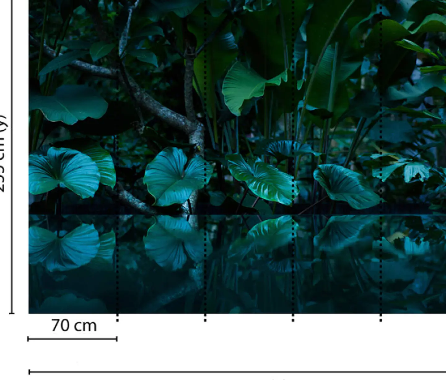 TROPICAL 3