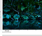TROPICAL - Miniatura 3