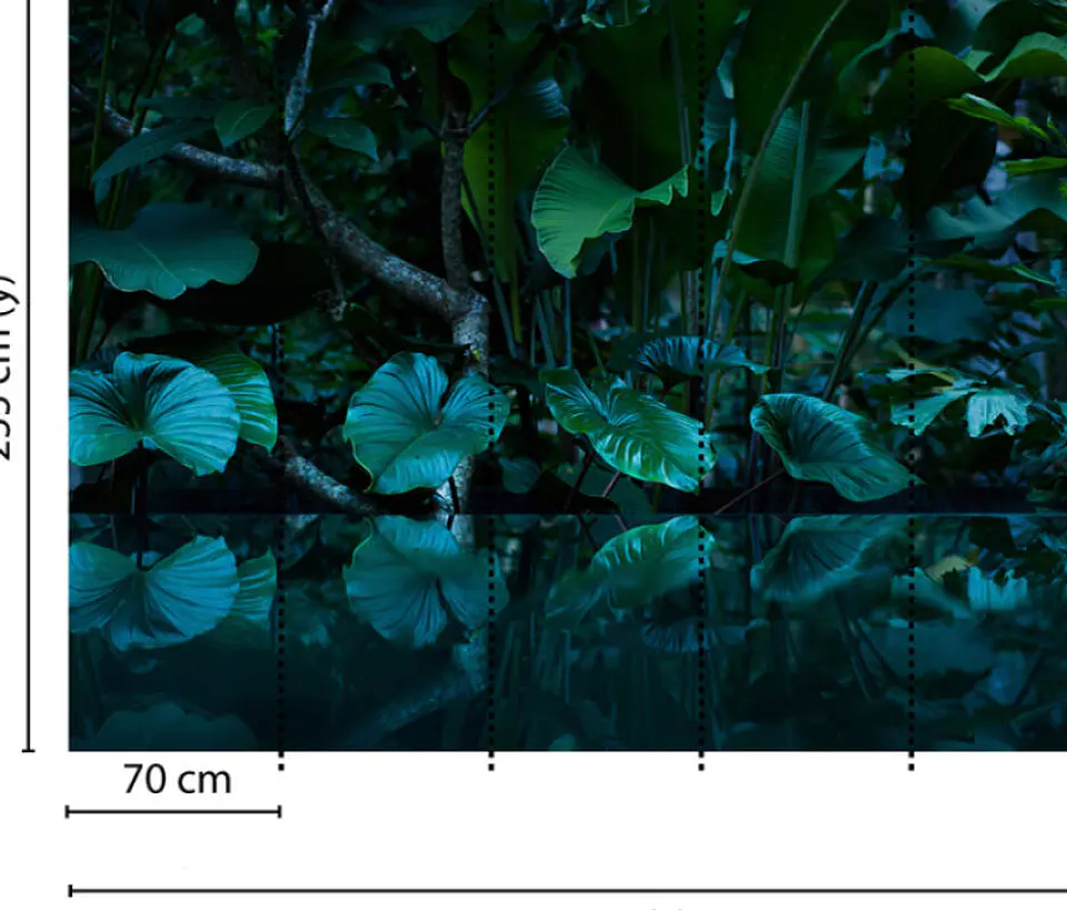 TROPICAL 3