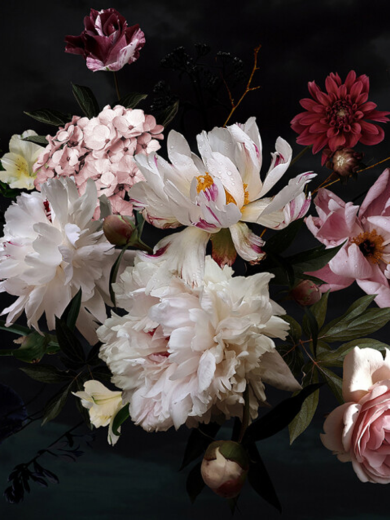 BLUNCH OF FLOWERS 1 1