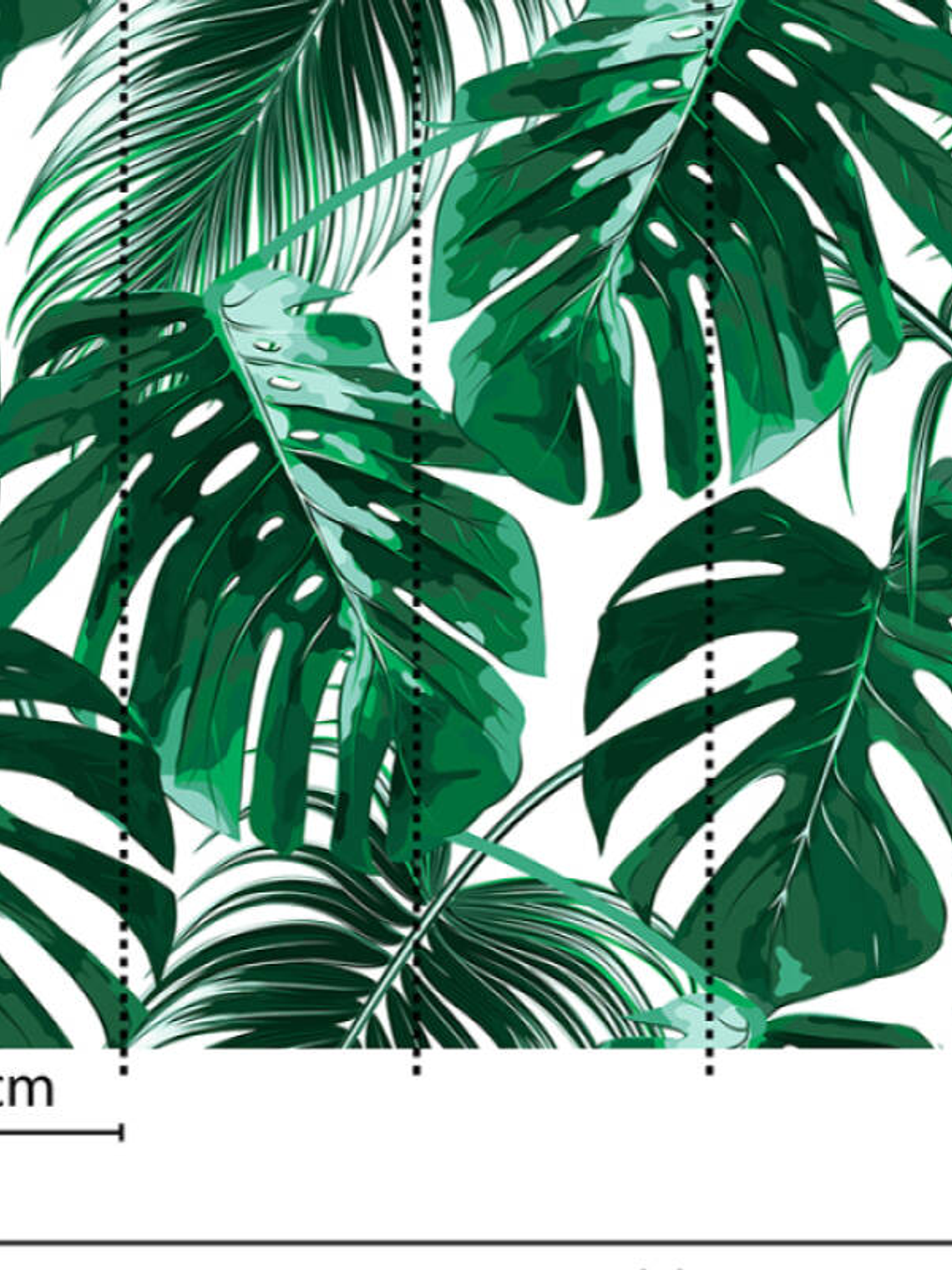 PALM LEAVES 1 3
