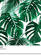 PALM LEAVES 1 - thumbnail 3