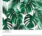 PALM LEAVES 1 - Miniatura 3