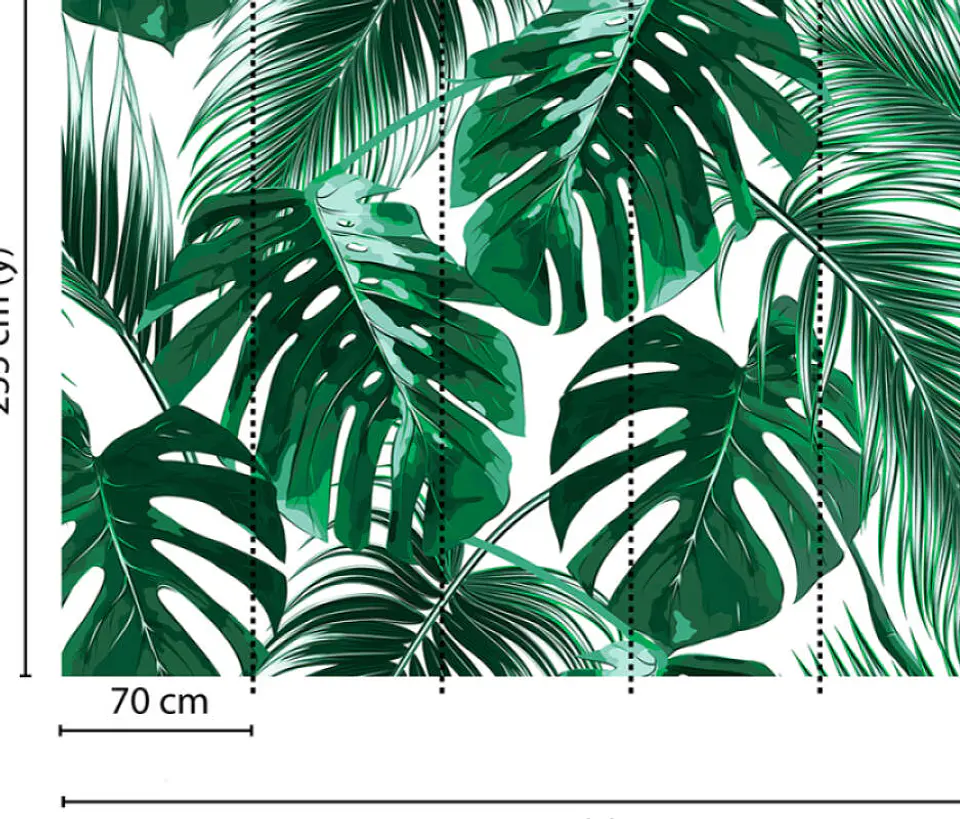 PALM LEAVES 1 3