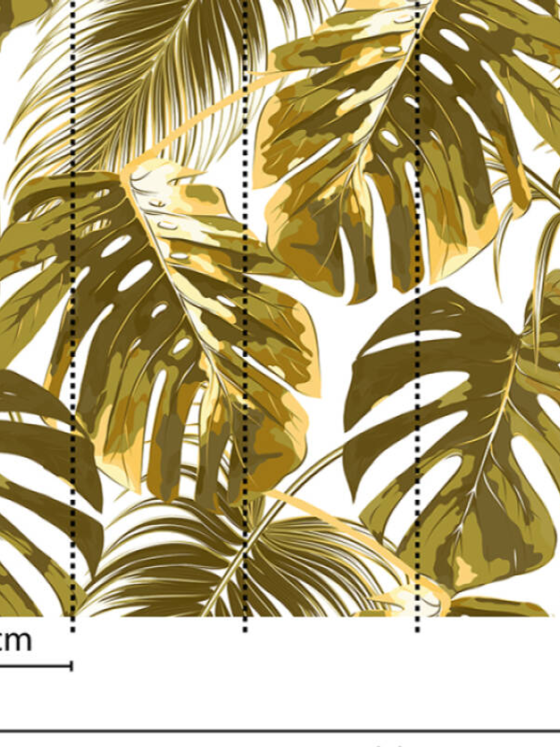 PALM LEAVES 2 3