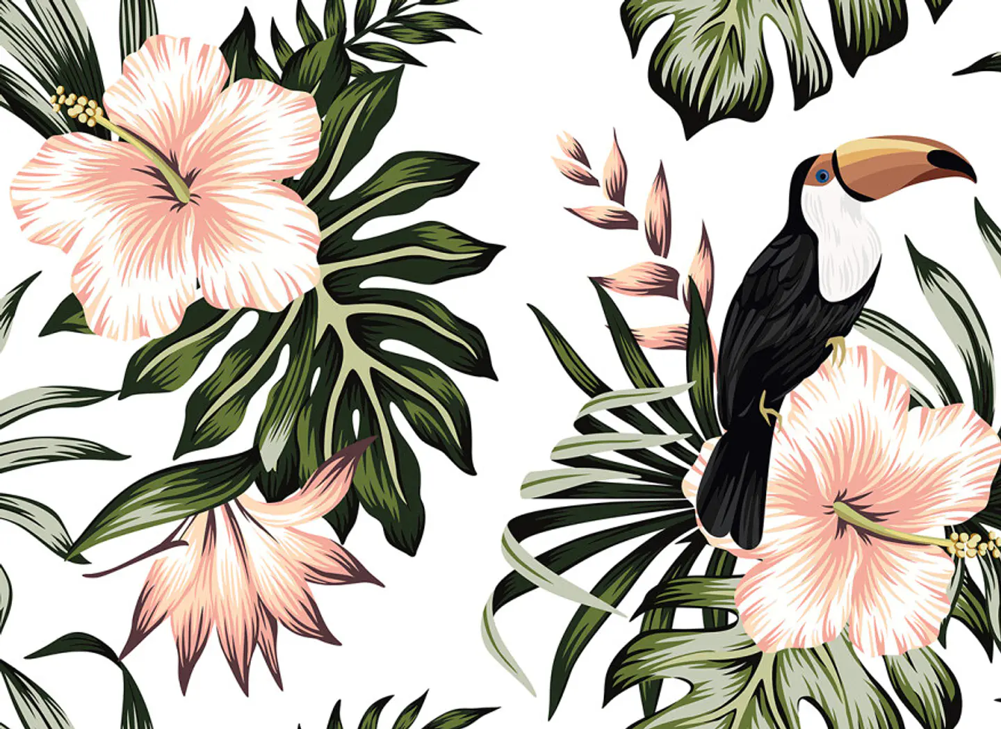 TOUCAN 1 1