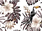 TOUCAN 2 - thumbnail 1