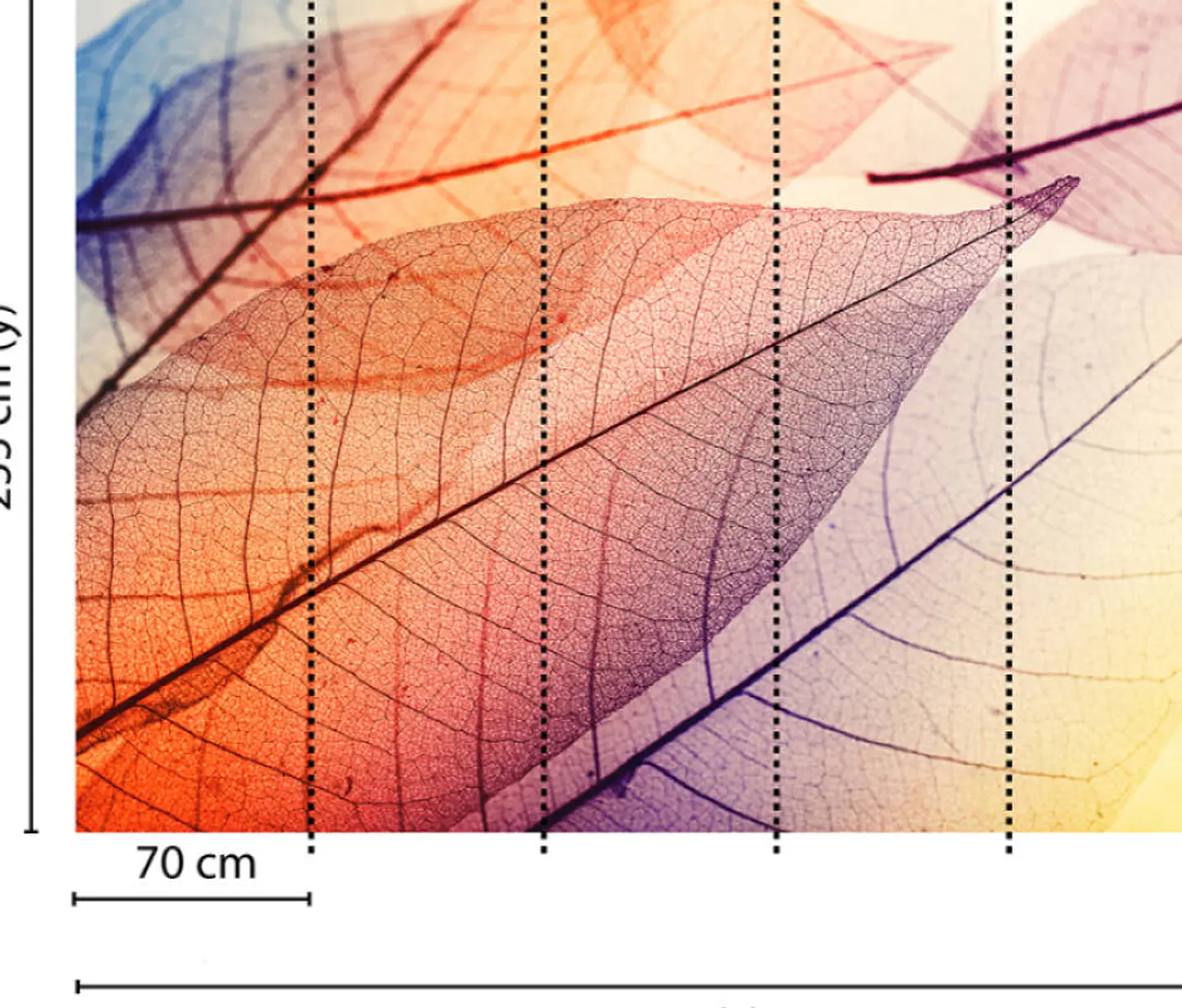 LIMPID LEAF 1 3