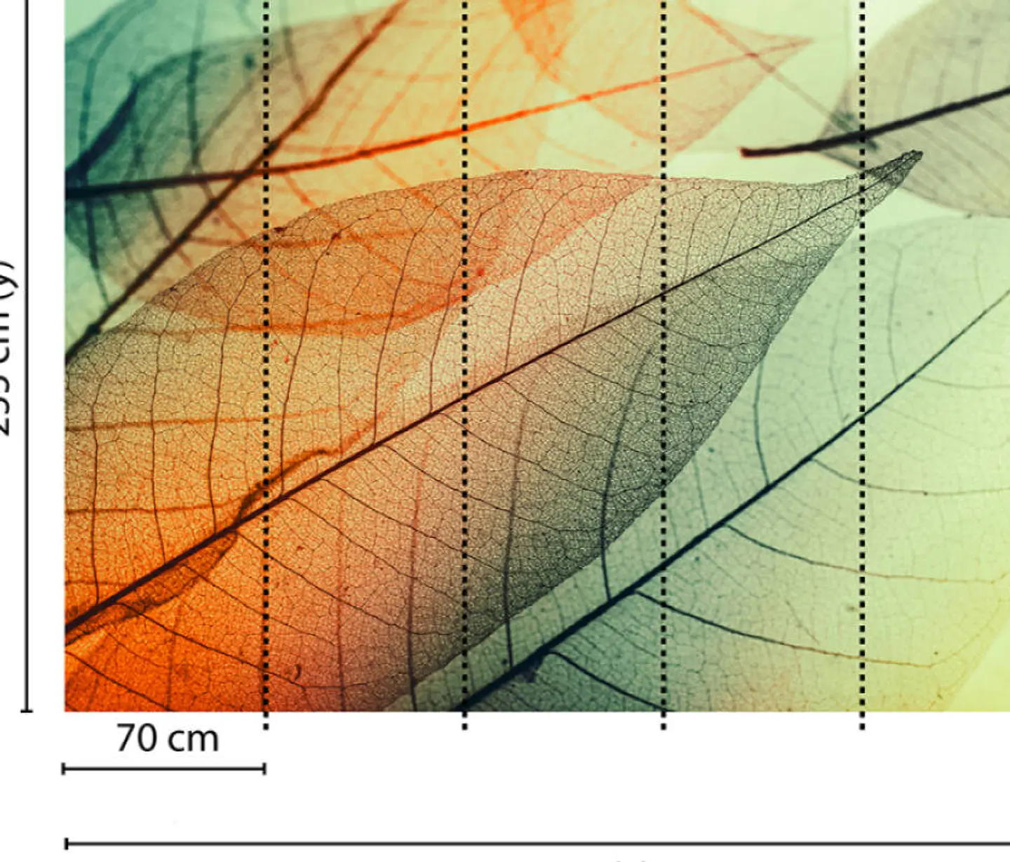 LIMPID LEAF 2 3