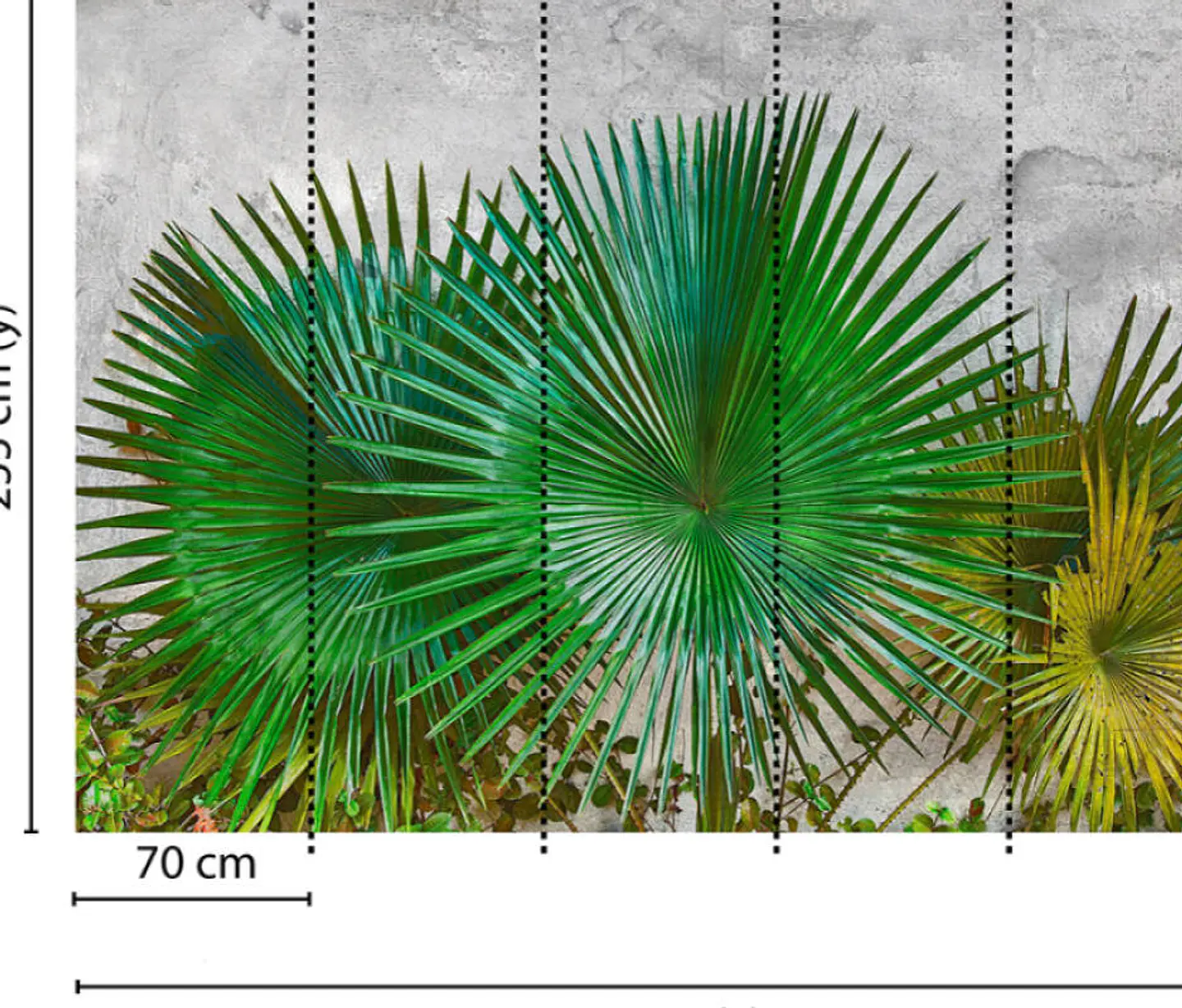 AGAVE LEAVES 3