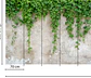 CLIMBING LEAVES - thumbnail 3