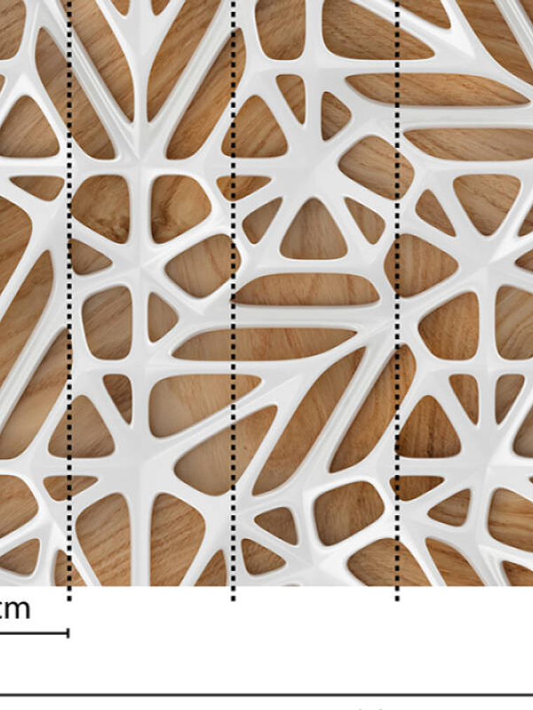 ORGANIC SURFACE 1  3