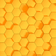 HONEY COMB 2