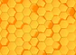 HONEY COMB 2 - thumbnail 1